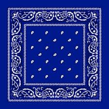 Blue Bandana